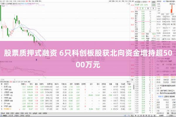 股票质押式融资 6只科创板股获北向资金增持超5000万元