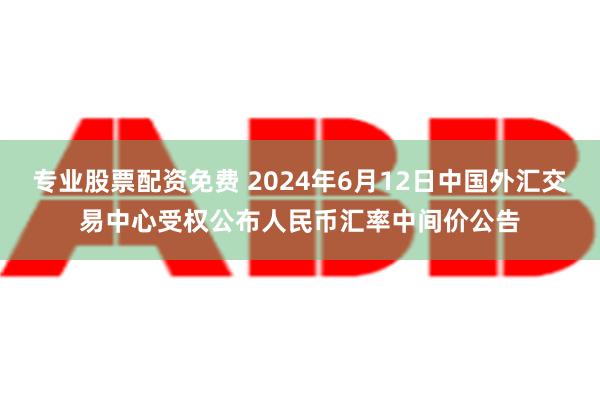 专业股票配资免费 2024年6月12日中国外汇交易中心受权公布人民币汇率中间价公告