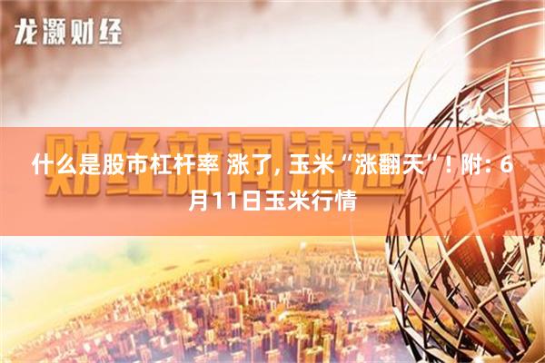 什么是股市杠杆率 涨了, 玉米“涨翻天”! 附: 6月11日玉米行情