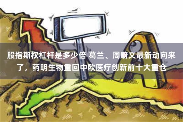 股指期权杠杆是多少倍 葛兰、周蔚文最新动向来了，药明生物重回中欧医疗创新前十大重仓