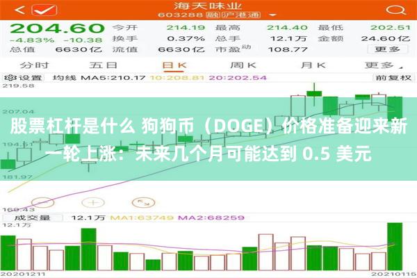 股票杠杆是什么 狗狗币（DOGE）价格准备迎来新一轮上涨：未来几个月可能达到 0.5 美元