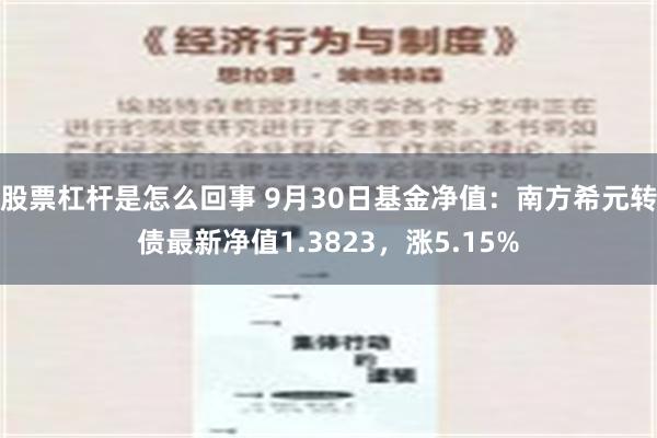 股票杠杆是怎么回事 9月30日基金净值：南方希元转债最新净值1.3823，涨5.15%