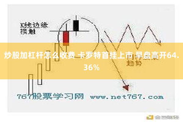 炒股加杠杆怎么收费 卡罗特首挂上市 早盘高开64.36%