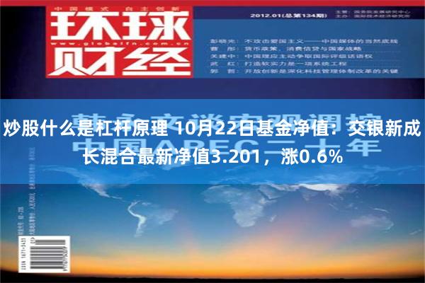 炒股什么是杠杆原理 10月22日基金净值：交银新成长混合最新净值3.201，涨0.6%