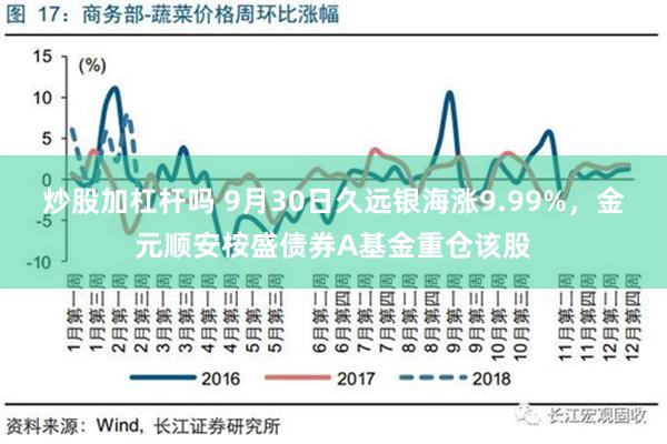 炒股加杠杆吗 9月30日久远银海涨9.99%，金元顺安桉盛债券A基金重仓该股