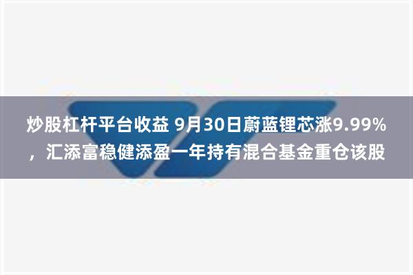 炒股杠杆平台收益 9月30日蔚蓝锂芯涨9.99%，汇添富稳健添盈一年持有混合基金重仓该股