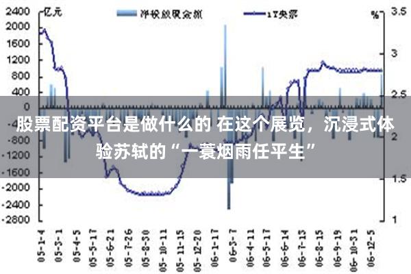 股票配资平台是做什么的 在这个展览，沉浸式体验苏轼的“一蓑烟雨任平生”