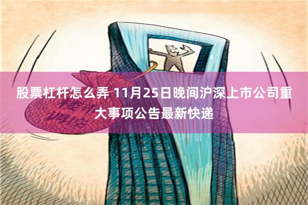 股票杠杆怎么弄 11月25日晚间沪深上市公司重大事项公告最新快递