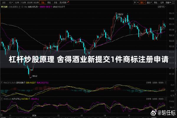 杠杆炒股原理 舍得酒业新提交1件商标注册申请