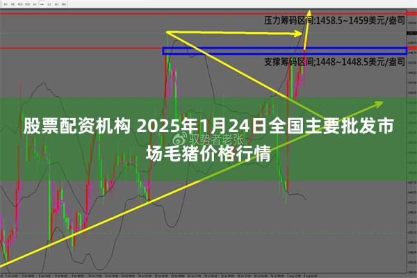 股票配资机构 2025年1月24日全国主要批发市场毛猪价格行情