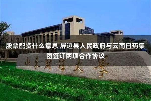 股票配资什么意思 屏边县人民政府与云南白药集团签订两项合作协议