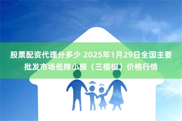 股票配资代理分多少 2025年1月29日全国主要批发市场低辣小椒（三樱椒）价格行情